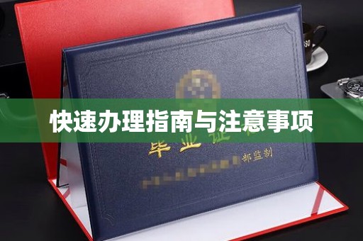 陵川快速办理指南与注意事项